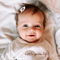 Pompom Teddy Haarspeldjes Mix Mini